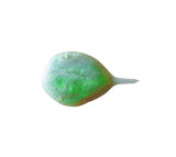 Cosmedix Eye Doctor Elite