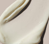 Day Cream Probiotic Peptide Complex
