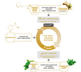 Buy Nuchino Time+ Supplements Online & in Perth